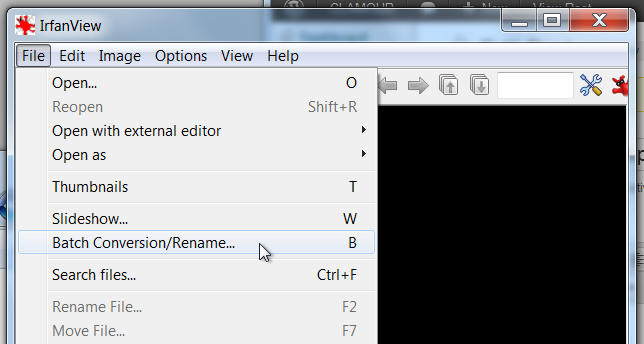 Irfanview: Batch Conversion option