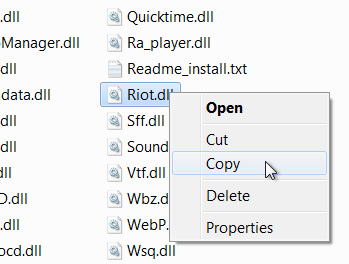 Locate and copy Riot.dll plugin